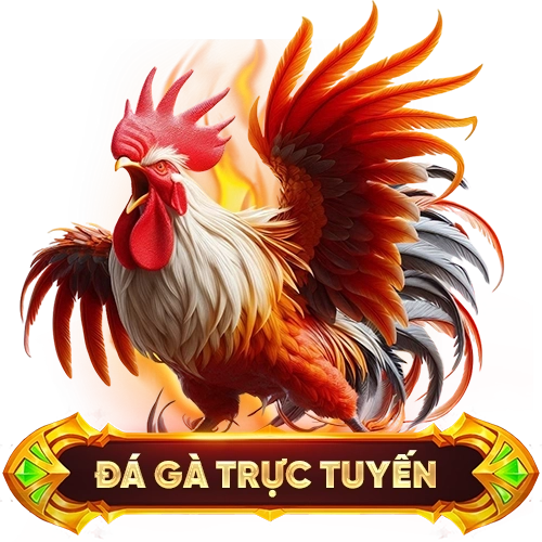 đá gà trực tuyến W88
